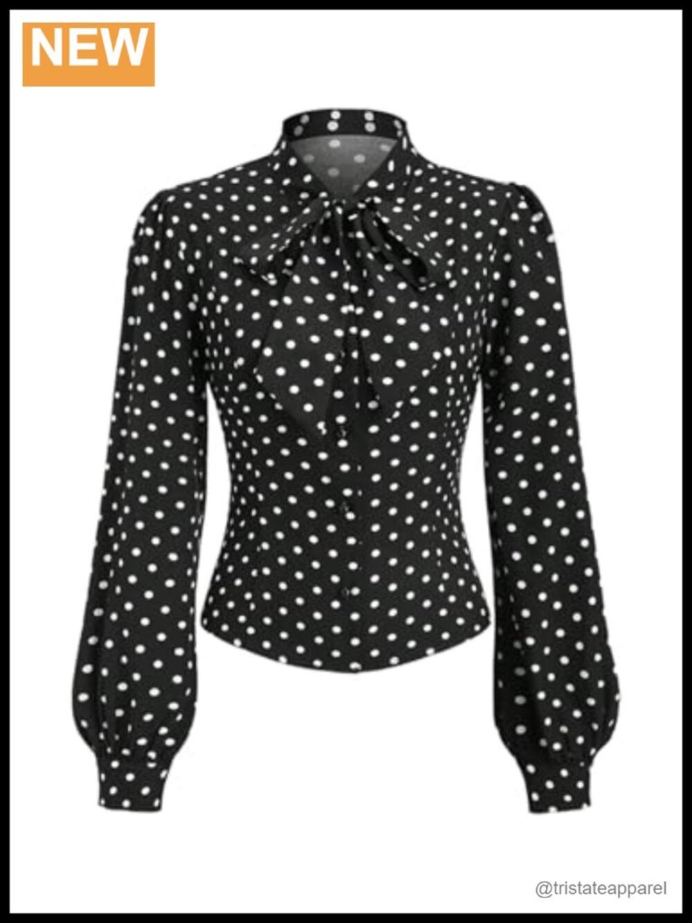 Polka Dot Tie Neck Bishop Long Sleeve Blouse for Women Office Work Top